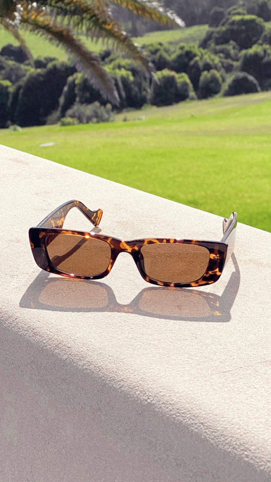 Accessories Your Accessory Shop | Safara Sunglasses - Tortoise Brown